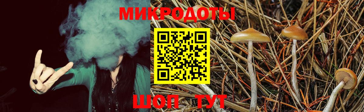 Отрадный  Псилоцибиновые грибы MAGIC MUSHROOMS  Вход с VPN 